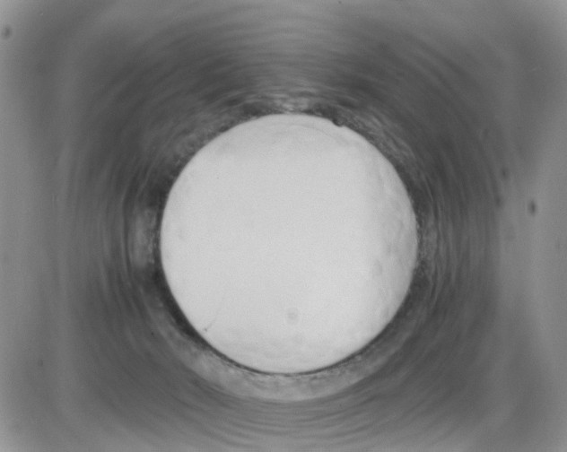 X0000086040030200704202022