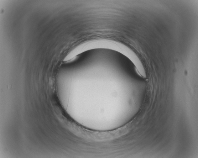 X0000086040031200704202022