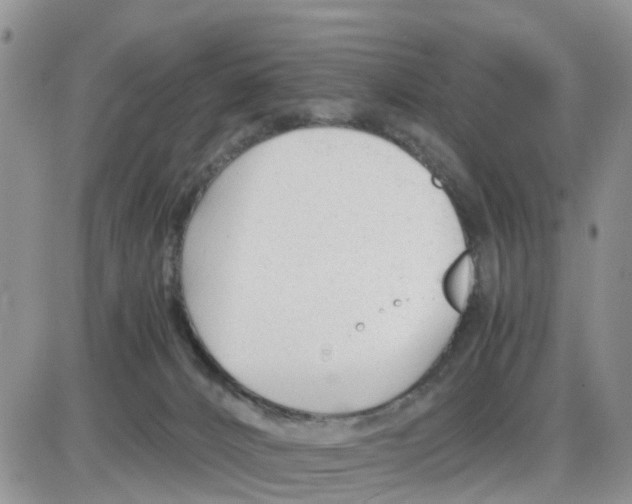 X0000086040032200704202022