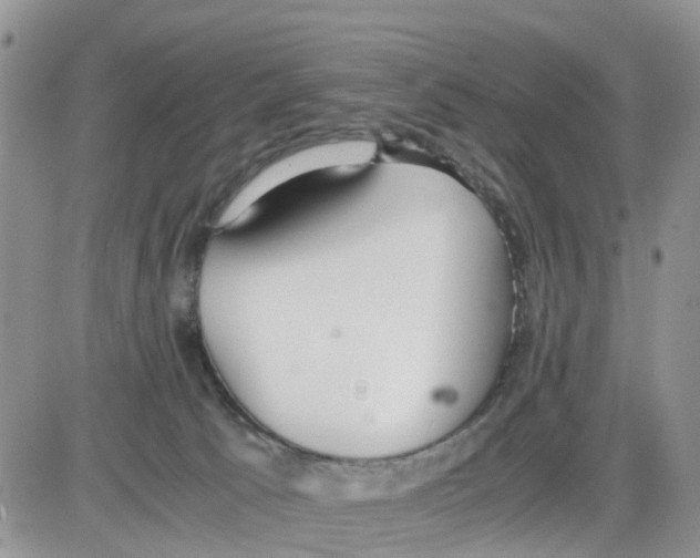 X0000086040033200704202022