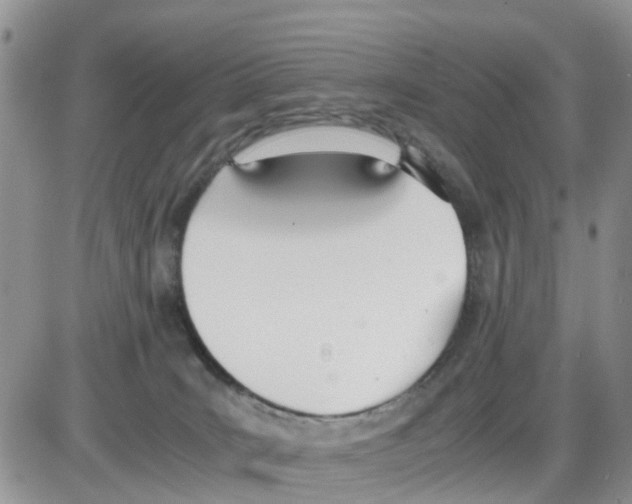 X0000086040035200704202022