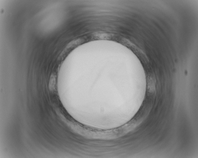 X0000086040036200704202022