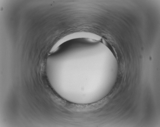 X0000086040037200704202022