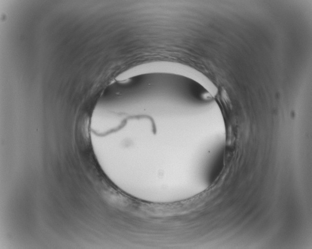 X0000086040041200704202022