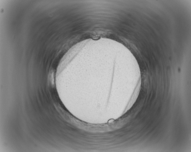 X0000086040042200704202022