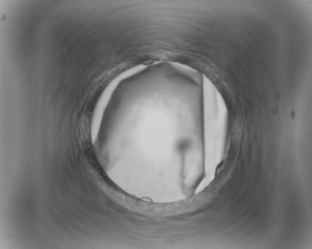 X0000086040043200704202022