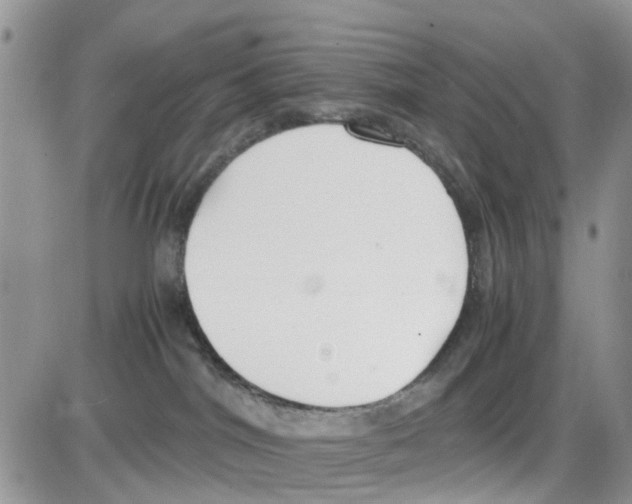 X0000086040044200704202022