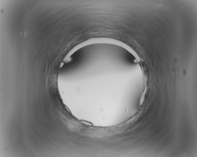 X0000086040045200704202022