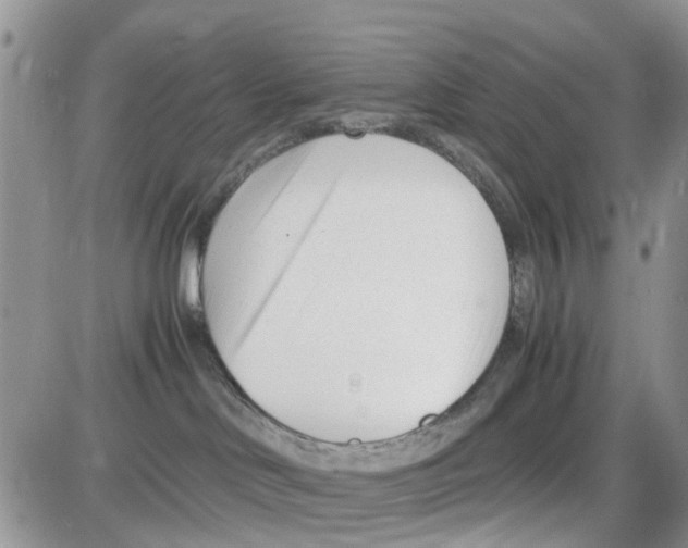 X0000086040046200704202022