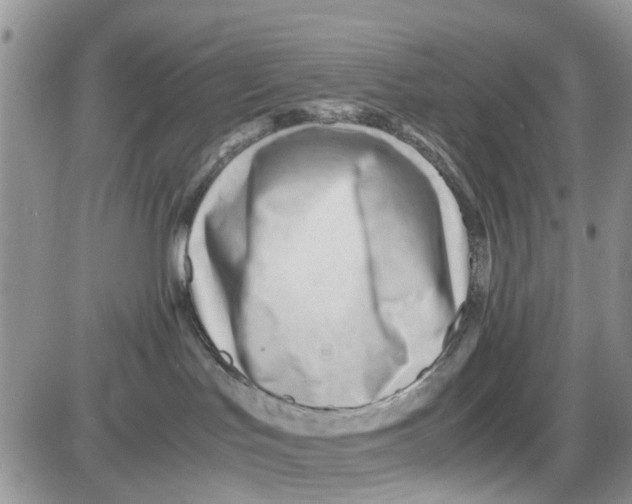 X0000086040047200704202022