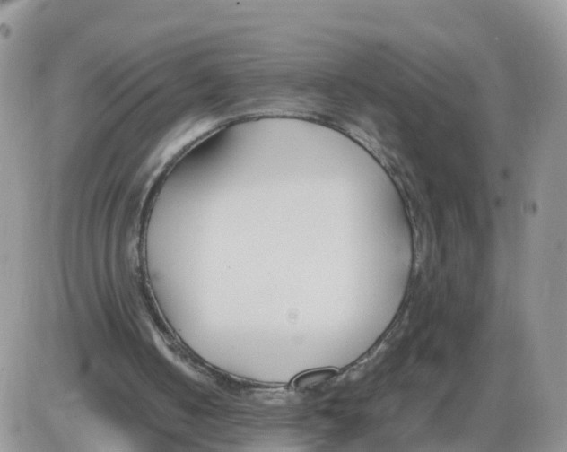 X0000086040050200704202021