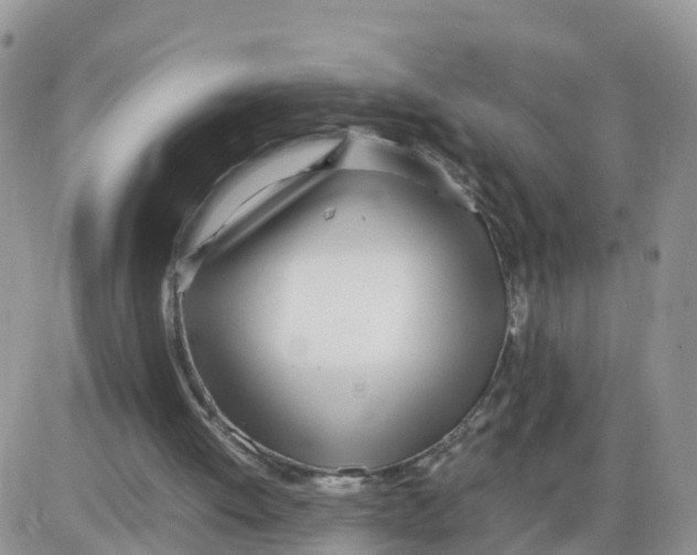 X0000086040052200704202021