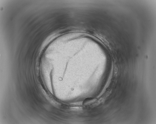 X0000086040053200704202021