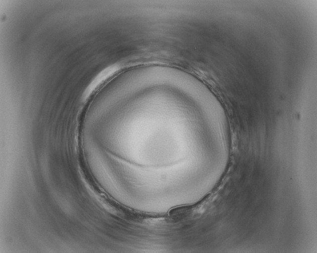 X0000086040054200704202021