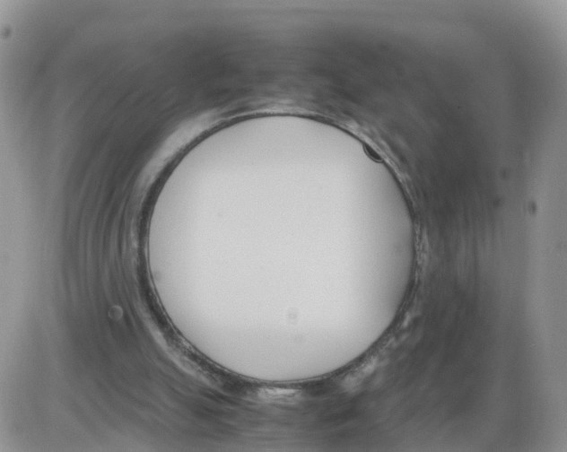 X0000086040055200704202021