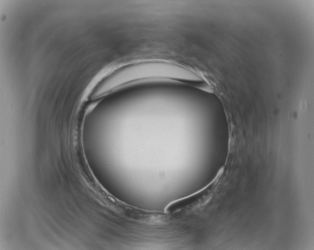 X0000086040056200704202021