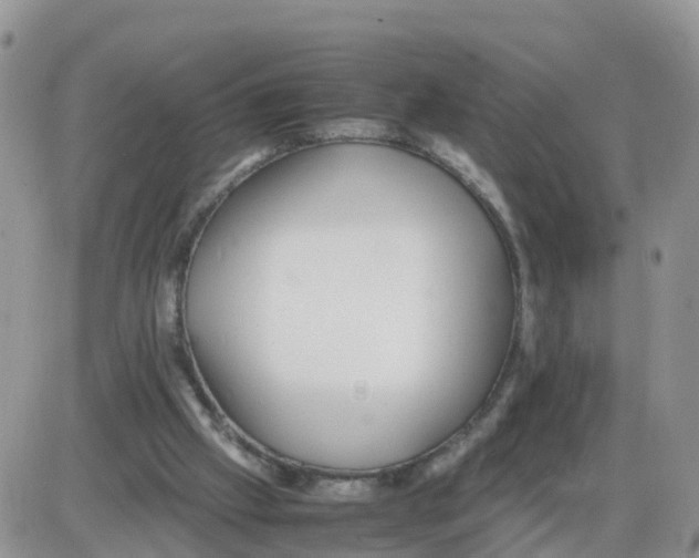 X0000086040057200704202021