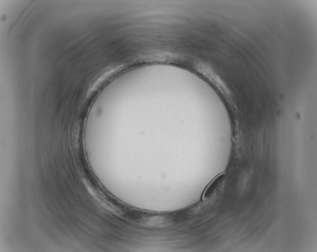 X0000086040058200704202021