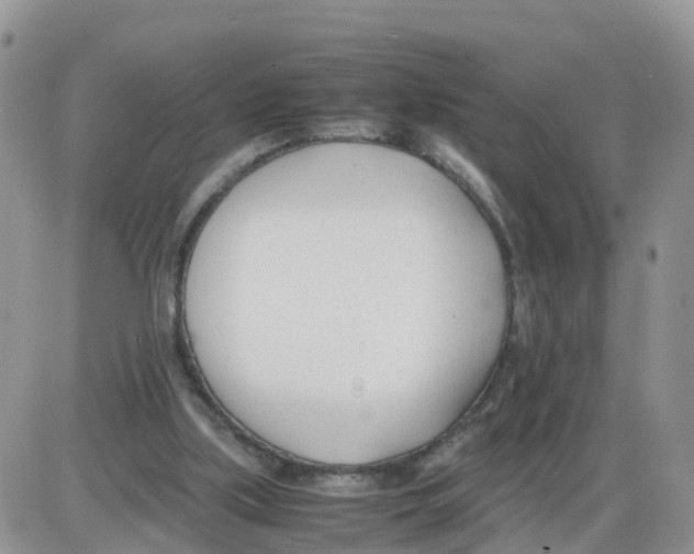 X0000086040059200704202021