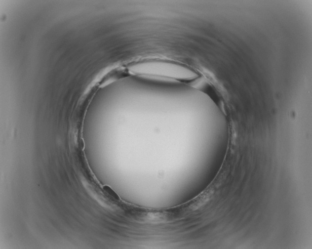 X0000086040060200704202021