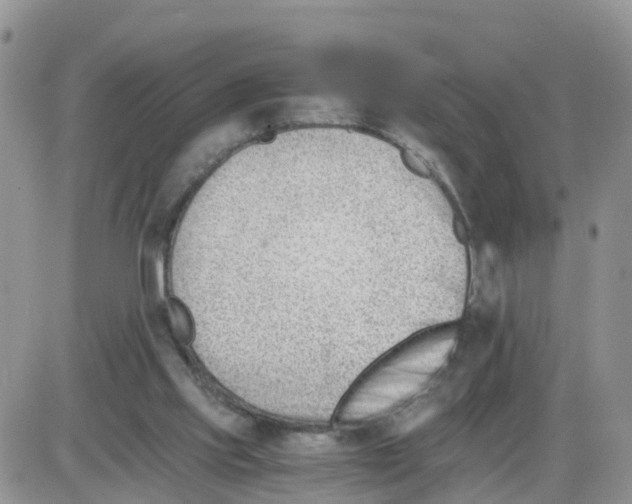 X0000086040061200704202021