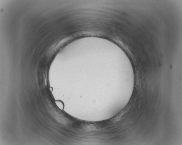 X0000086040062200704202021