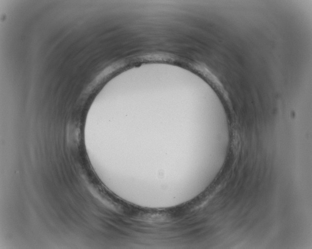 X0000086040063200704202021