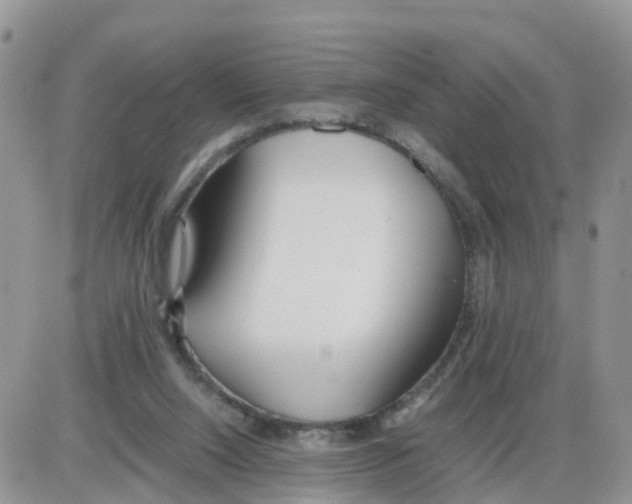 X0000086040064200704202021