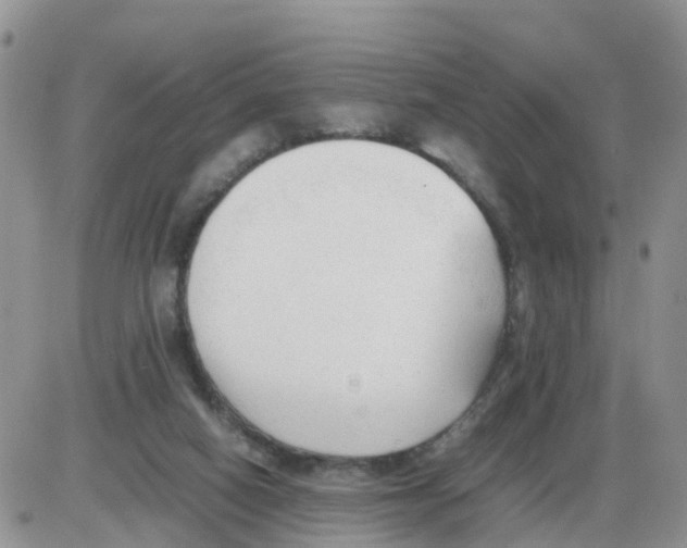 X0000086040066200704202021