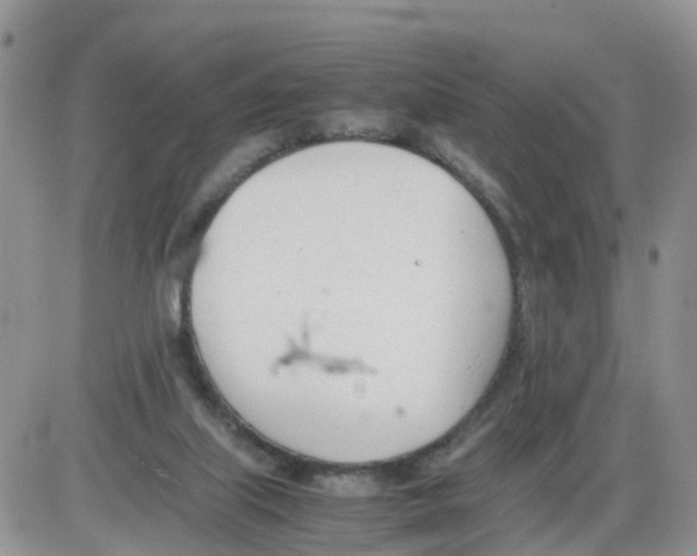 X0000086040067200704202021