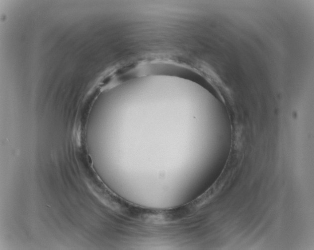 X0000086040068200704202021