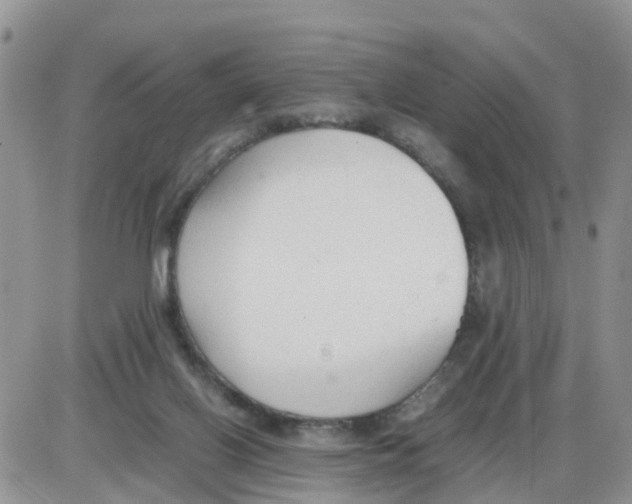 X0000086040070200704202021