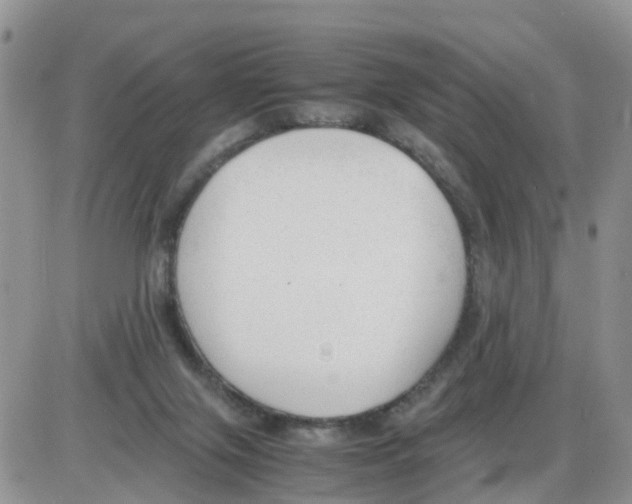 X0000086040071200704202021