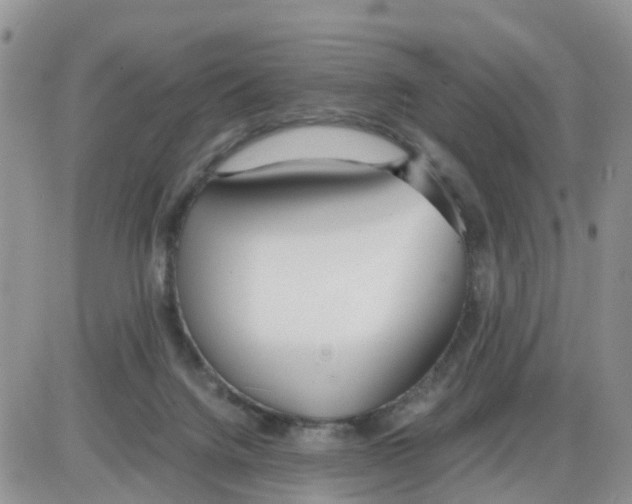 X0000086040072200704202021