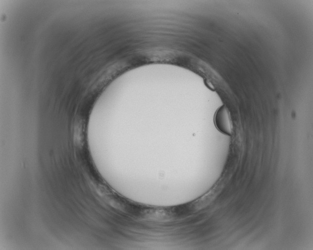 X0000086040074200704202021