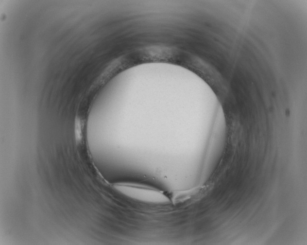 X0000086040075200704202021