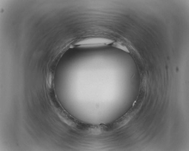 X0000086040076200704202021