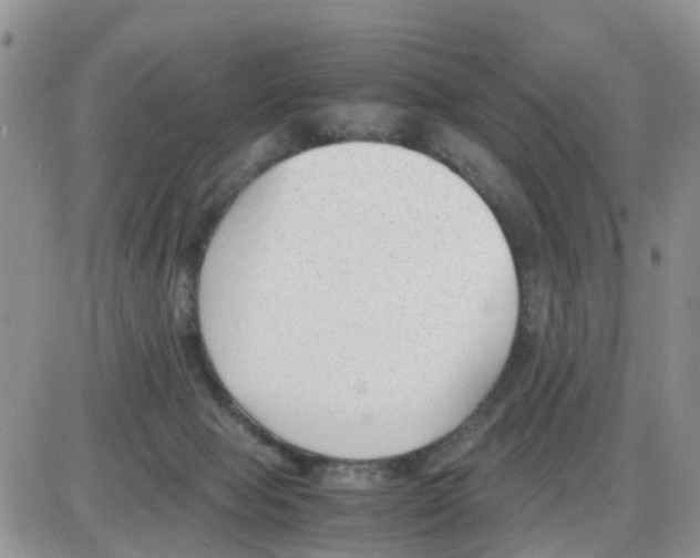 X0000086040077200704202021