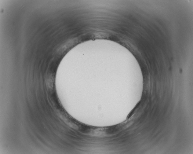 X0000086040078200704202021