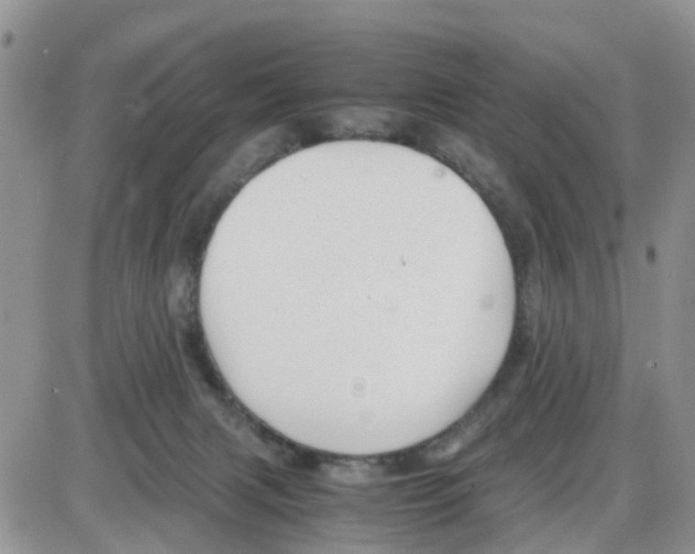 X0000086040079200704202021