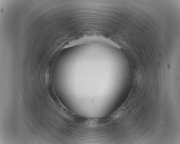 X0000086040080200704202021