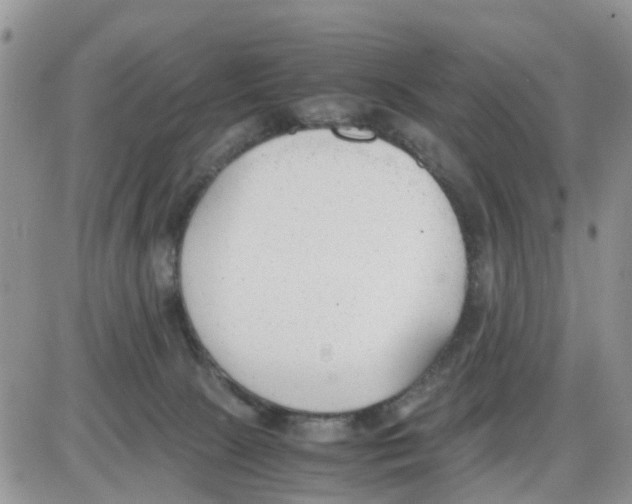 X0000086040081200704202021