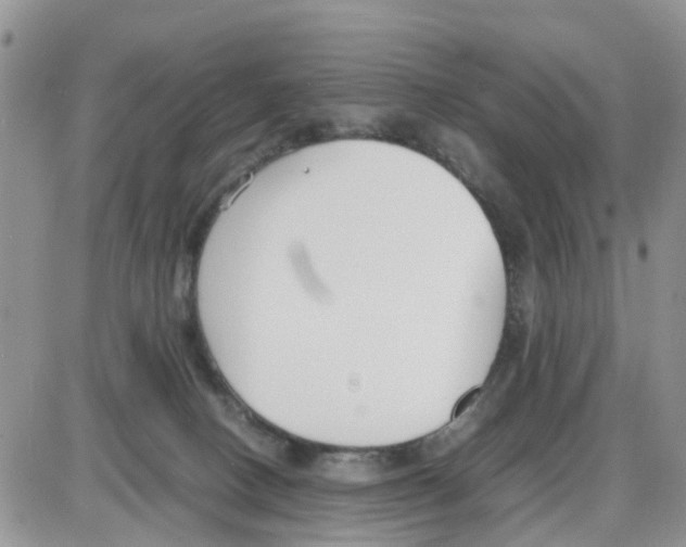 X0000086040082200704202021