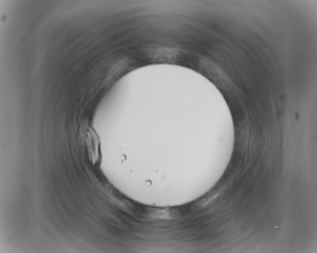 X0000086040083200704202022