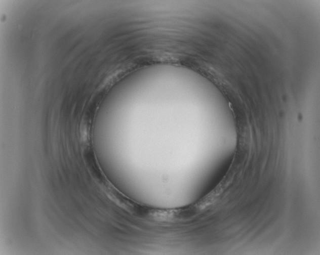 X0000086040084200704202022