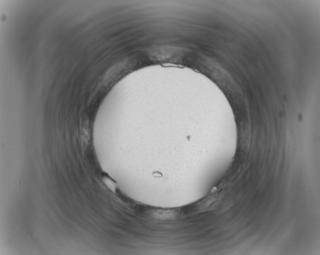 X0000086040085200704202022