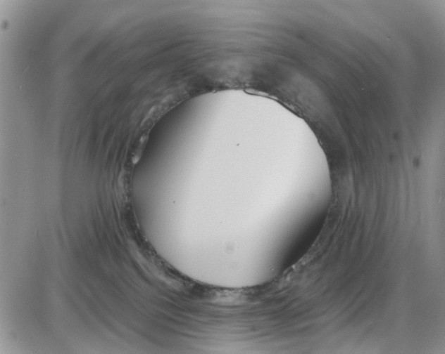 X0000086040088200704202022