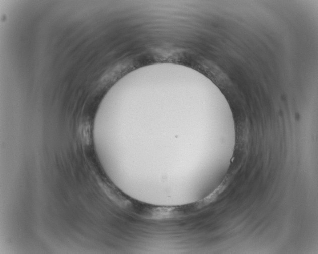 X0000086040090200704202022