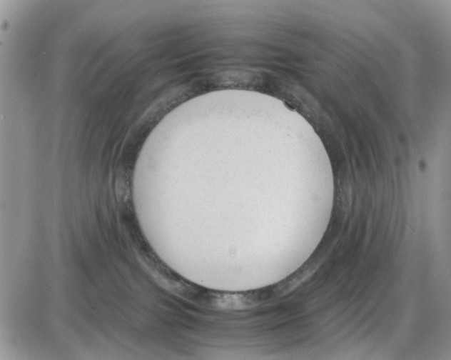 X0000086040091200704202022