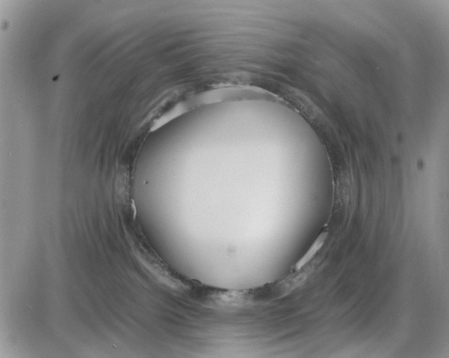 X0000086040092200704202022